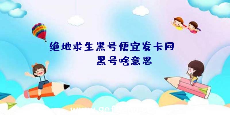 「绝地求生黑号便宜发卡网」|pubg黑号啥意思